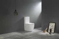 Унитаз компакт CeramaLux с бачком и сиденьем Микролифт арт-TR2176-1 — фото 11, Напольные унитазы