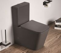 Унитаз компакт CeramaLux Серый матовый с бачком и сиденьем Микролифт арт-2170AXMDH — фото 3, Напольные унитазы