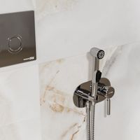 Main Встраиваемый смеситель для душа с гигиенической лейкой арт-4138 — фото 2, Гигиенические души