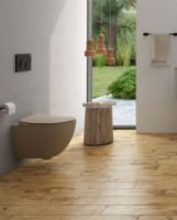 Унитаз Creavit Free подвесной Капучино матовый без сиденья арт-FE322-11CM00E-0000 — фото 7, Подвесные унитазы