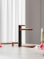 Товар: Смеситель для кухни Alveus Zina Monarch Copper Черный Медь арт-1136510 - фото 6 Смеситель для кухни Alveus Zina Monarch Copper Черный Медь арт-1136510 — фото 6, Смесители для кухни