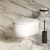 Унитаз Ambassador Abner подвесной Белый глянцевый без сиденья арт-103T20001R — фото 1, Подвесные унитазы