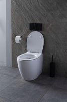 Унитаз Allen Brau Fantasy 4.11007.20 приставной Белый без сиденья — фото 29, Приставные унитазы