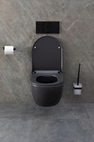 Товар: Унитаз Allen Brau Priority 4.31001.AN подвесной Антрацит без сиденья - фото 33 Унитаз Allen Brau Priority 4.31001.AN подвесной Антрацит без сиденья — фото 33, Подвесные унитазы