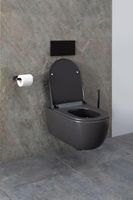 Товар: Унитаз Allen Brau Priority 4.31001.AN подвесной Антрацит без сиденья - фото 36 Унитаз Allen Brau Priority 4.31001.AN подвесной Антрацит без сиденья — фото 36, Подвесные унитазы