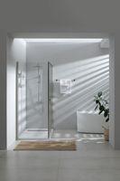 Душевая дверь Allen Brau Priority 140 3.31011.BA профиль Серебро брашированное стекло прозрачное — фото 27, Распашные душевые двери