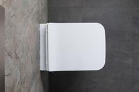 Унитаз биде Allen Brau Liberty 2 4.33009.20 подвесной Белый без сиденья — фото 42, Подвесные унитазы