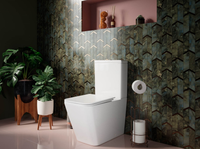 Напольный пристенный унитаз Cubic Rimless — фото 13, Напольные унитазы