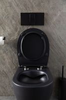 Унитаз Allen Brau Reality 4.32006.31 подвесной Черный матовый без сиденья — фото 20, Подвесные унитазы