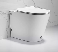 Унитаз Ceruttispa Argentera Pulse CT7267 с импульсным смывом приставной с сиденьем Микролифт — фото 2, Приставные унитазы