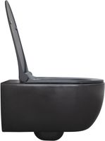 Товар: Унитаз Allen Brau Priority 4.31001.AN подвесной Антрацит без сиденья - фото 1 Унитаз Allen Brau Priority 4.31001.AN подвесной Антрацит без сиденья — фото 1, Подвесные унитазы