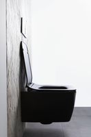 Унитаз Allen Brau Liberty 2 4.33007.31 подвесной Черный матовый без сиденья — фото 58, Подвесные унитазы