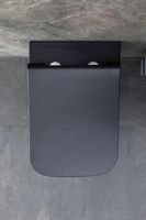 Товар: Унитаз Allen Brau Infinity 4.21011.31 подвесной Черный матовый без сиденья - фото 70 Унитаз Allen Brau Infinity 4.21011.31 подвесной Черный матовый без сиденья — фото 70, Подвесные унитазы