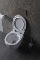 Товар: Унитаз биде Allen Brau Fantasy 4.11HC1.20 подвесной Белый без сиденья - фото 34 Унитаз биде Allen Brau Fantasy 4.11HC1.20 подвесной Белый без сиденья — фото 34, Подвесные унитазы