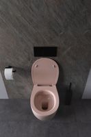 Товар: Унитаз Allen Brau Fantasy 4.11004.SM подвесной Розовый без сиденья - фото 30 Унитаз Allen Brau Fantasy 4.11004.SM подвесной Розовый без сиденья — фото 30, Подвесные унитазы