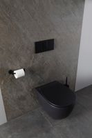 Унитаз Allen Brau Reality 4.32006.31 подвесной Черный матовый без сиденья — фото 26, Подвесные унитазы