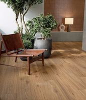 Marca Corona Elisir Royal  Dorato RT арт-I872 — фото 2, Керамогранит