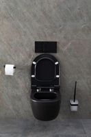 Унитаз Allen Brau Priority 4.31002.31 подвесной Черный матовый без сиденья — фото 37, Подвесные унитазы