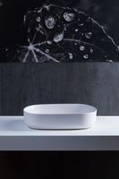 Товар: Раковина-чаша Allen Brau Fantasy 55 4.11022.21 Белая матовая - фото 6 Раковина-чаша Allen Brau Fantasy 55 4.11022.21 Белая матовая — фото 6, Раковины накладные