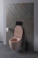 Товар: Унитаз Allen Brau Fantasy 4.11004.SM подвесной Розовый без сиденья - фото 24 Унитаз Allen Brau Fantasy 4.11004.SM подвесной Розовый без сиденья — фото 24, Подвесные унитазы