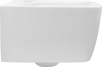 Унитаз Allen Brau Liberty 2 4.33007.21 подвесной Белый матовый без сиденья — фото 8, Подвесные унитазы