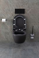 Товар: Унитаз Allen Brau Priority 4.31001.AN подвесной Антрацит без сиденья - фото 32 Унитаз Allen Brau Priority 4.31001.AN подвесной Антрацит без сиденья — фото 32, Подвесные унитазы