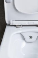 Унитаз биде Allen Brau Liberty 2 4.33009.20 подвесной Белый без сиденья — фото 47, Подвесные унитазы