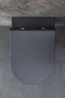 Товар: Унитаз Allen Brau Priority 4.31001.AN подвесной Антрацит без сиденья - фото 41 Унитаз Allen Brau Priority 4.31001.AN подвесной Антрацит без сиденья — фото 41, Подвесные унитазы