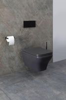 Товар: Унитаз Allen Brau Infinity 4.21011.AN подвесной Антрацит без сиденья - фото 44 Унитаз Allen Brau Infinity 4.21011.AN подвесной Антрацит без сиденья — фото 44, Подвесные унитазы