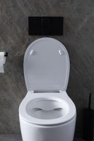 Унитаз Allen Brau Fantasy 4.11007.20 приставной Белый без сиденья — фото 38, Приставные унитазы