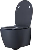 Унитаз Allen Brau Fantasy 4.11004.AN подвесной Антрацит без сиденья — фото 14, Подвесные унитазы