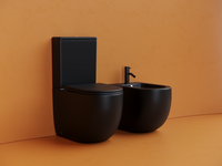 Напольный пристенный унитаз Metropol смыв Торнадо черный матовый CN4001TMB — фото 10, Напольные унитазы