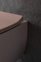 Товар: Унитаз Allen Brau Fantasy 4.11004.SM подвесной Розовый без сиденья - фото 31 Унитаз Allen Brau Fantasy 4.11004.SM подвесной Розовый без сиденья — фото 31, Подвесные унитазы