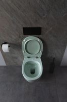 Товар: Унитаз Allen Brau Fantasy 4.11004.MT подвесной Мятный без сиденья - фото 27 Унитаз Allen Brau Fantasy 4.11004.MT подвесной Мятный без сиденья — фото 27, Подвесные унитазы