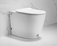 Унитаз Ceruttispa CT7264 с импульсным смывом приставной с сиденьем Микролифт — фото 1, Приставные унитазы