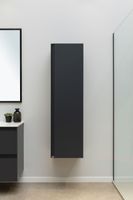 Шкаф-пенал Allen Brau Eclipse 40 1.E1005.AM антрацит матовый — фото 8, Шкафы для ванной