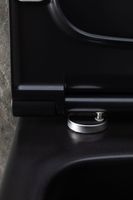 Унитаз Allen Brau Priority 4.31002.31 подвесной Черный матовый без сиденья — фото 28, Подвесные унитазы