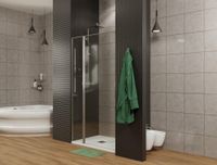 Душевая дверь Allen Brau Priority 120 3.31033.BBA профиль Черный браш стекло прозрачное — фото 27, Распашные душевые двери