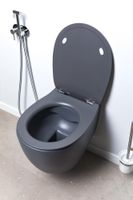 Товар: Крышка-сиденье для унитаза Allen Brau Fantasy Smartfix, Soft-Close антрацит арт-4.11005.AN - фото 15 Крышка-сиденье для унитаза Allen Brau Fantasy Smartfix, Soft-Close антрацит арт-4.11005.AN — фото 15, Сиденья для унитаза