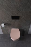 Товар: Унитаз Allen Brau Fantasy 4.11004.SM подвесной Розовый без сиденья - фото 28 Унитаз Allen Brau Fantasy 4.11004.SM подвесной Розовый без сиденья — фото 28, Подвесные унитазы