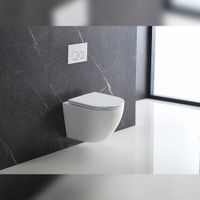 Унитаз подвесной Terminus Аврора (Торнадо 3.0) 01WM49x36W, белый — фото 9, Подвесные унитазы