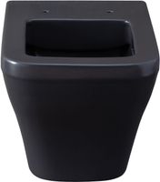 Товар: Унитаз Allen Brau Infinity 4.21011.AN подвесной Антрацит без сиденья - фото 30 Унитаз Allen Brau Infinity 4.21011.AN подвесной Антрацит без сиденья — фото 30, Подвесные унитазы