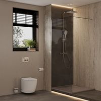 Душевая перегородка Allen Brau Infinity 1 120 3.21020.BA.T профиль Серебро браш стекло тонированное — фото 6, Душевые перегородки