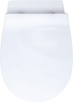 Унитаз Allen Brau Fantasy 4.11007.20 приставной Белый без сиденья — фото 13, Приставные унитазы