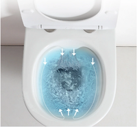 Товар: Унитаз Ceruttispa Vettore F CT7841 приставной с сиденьем Микролифт - фото 12 Унитаз Ceruttispa Vettore F CT7841 приставной с сиденьем Микролифт — фото 12, Приставные унитазы