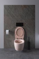 Товар: Унитаз Allen Brau Fantasy 4.11004.SM подвесной Розовый без сиденья - фото 22 Унитаз Allen Brau Fantasy 4.11004.SM подвесной Розовый без сиденья — фото 22, Подвесные унитазы