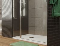 Душевая дверь Allen Brau Priority 120 3.31033.BBA профиль Черный браш стекло прозрачное — фото 29, Распашные душевые двери