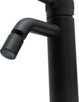 Смеситель для биде Allen Brau Priority 5.31A04-31 Черный матовый — фото 4, Смесители для биде