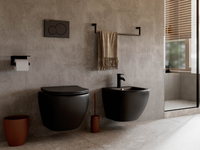 Товар: Унитаз Ceramicanova Metropol CN4002MB подвесной Черный с сиденьем Микролифт - фото 26 Унитаз Ceramicanova Metropol CN4002MB подвесной Черный с сиденьем Микролифт — фото 26, Подвесные унитазы