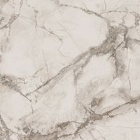 Керамогранит Ariana Epoque White Ret 60x60 см арт-PF60004308 — фото 1, Керамогранит